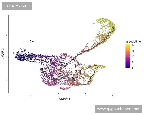 布拉德福德俱乐部的崛起与城市足球文化发展的历史轨迹分析