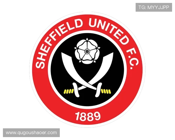 谢菲尔德星期三俱乐部的历史与辉煌：从起伏到崛起的传奇之路