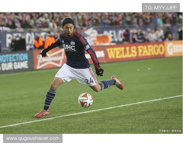 尼斯足球俱乐部：辉煌历史与未来发展前景的全面解析