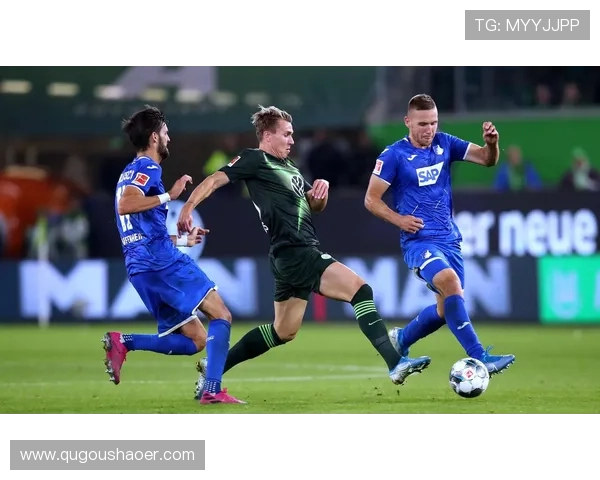 霍芬海姆1899俱乐部：球队新任主教练展望新赛季表现